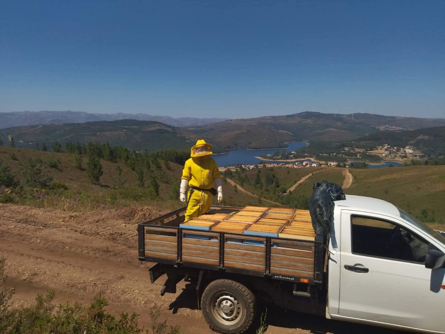 Simão com os quadros no transporte para o apiário