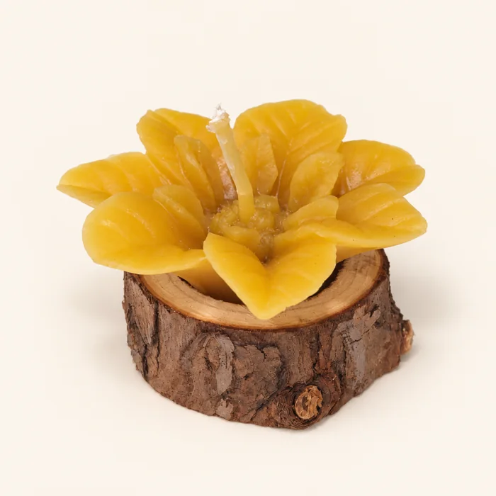 Vela de cera de abelha — flor sobre madeira