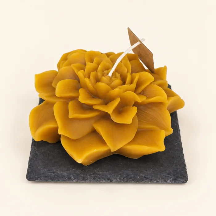 Vela de cera de abelha — rosa