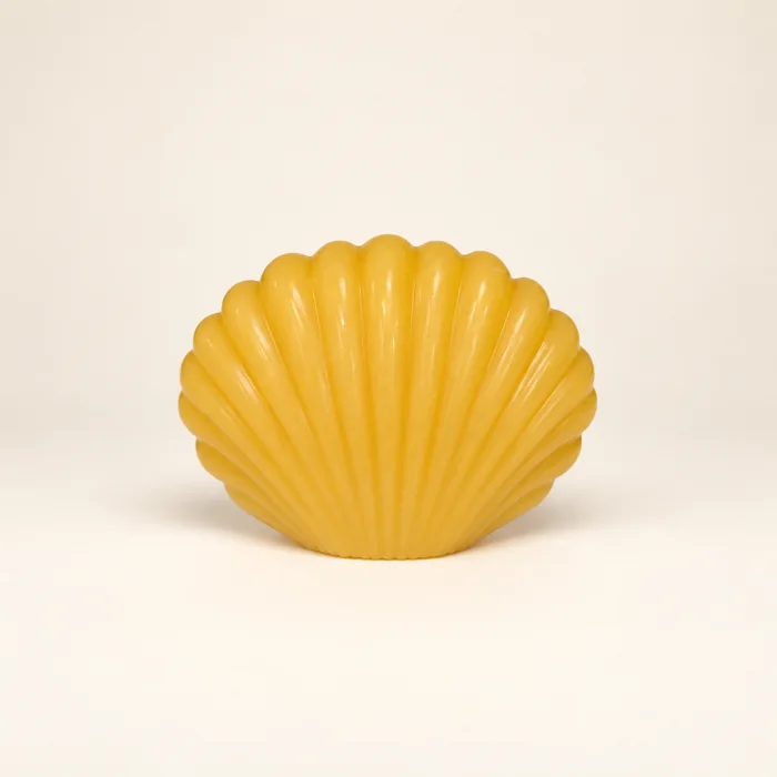 Vela de cera de abelha — concha