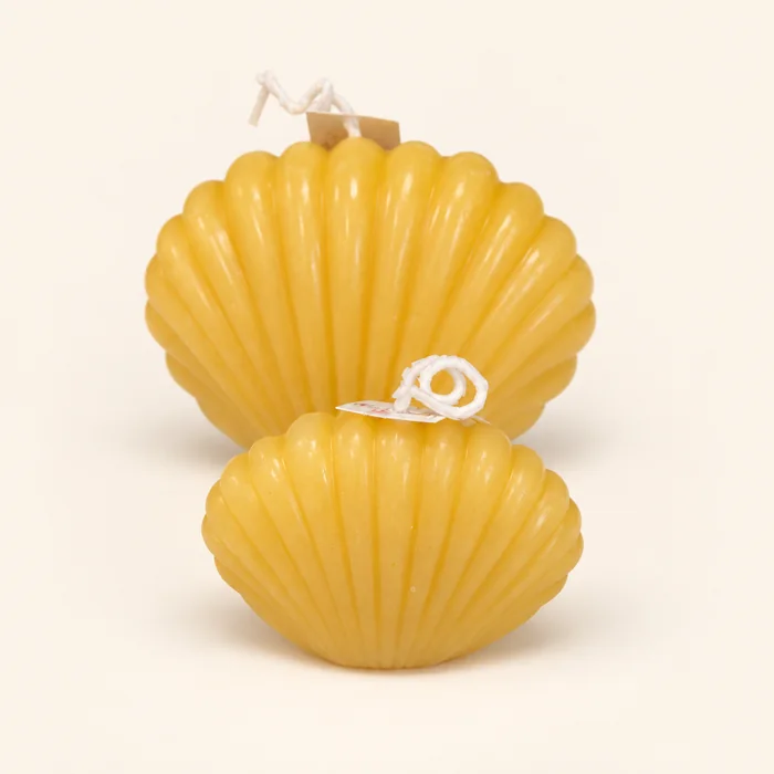 Vela de cera de abelha — conchas com laço